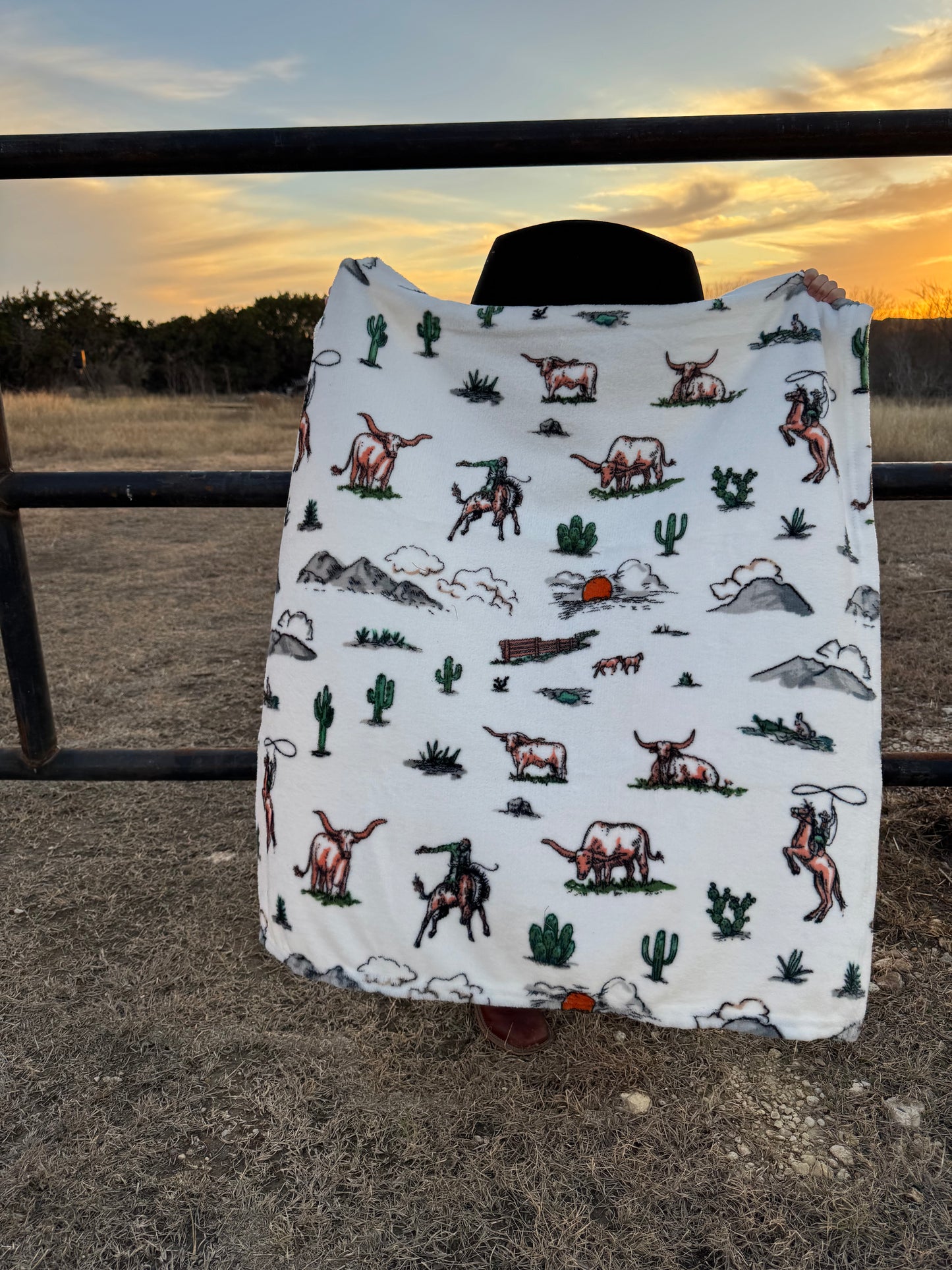 Western Skies Baby Blanket
