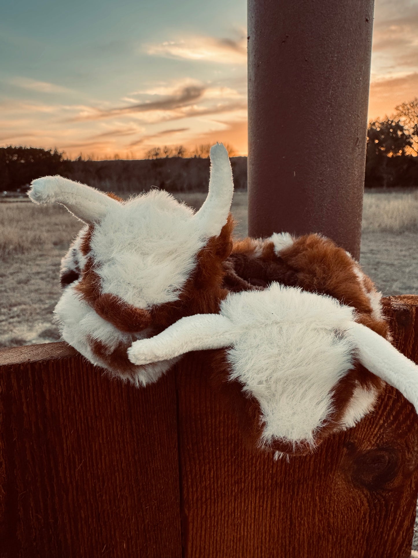 Longhorn Slippies