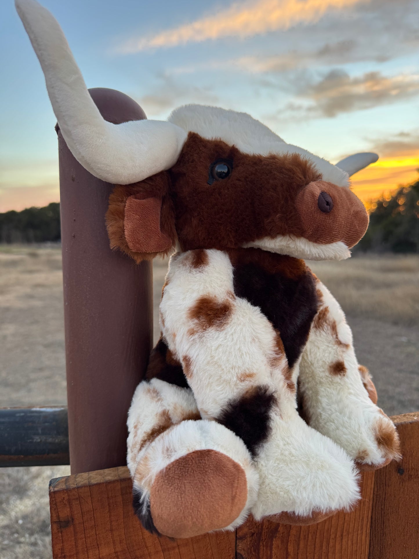Longhorn Farm Pal