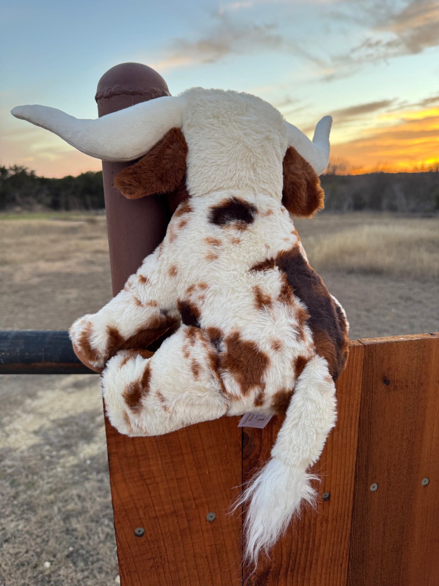 Longhorn Farm Pal